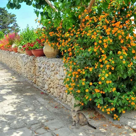 Grotta Monaca Apartahotel 3*